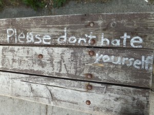 Please Don't Hate Yourself Copyright Donna James