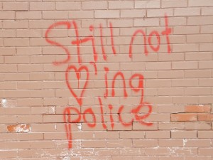 Wall - Not Loving the Police Copyright Donna James
