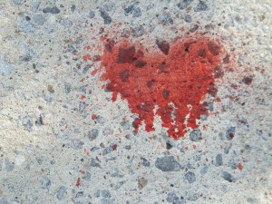 Bleeding Heart. Copyright © Donna James