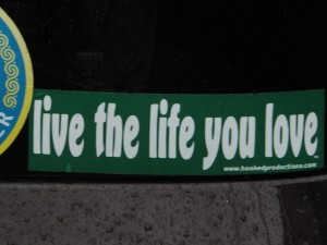 Live the Life You Love. Copyright © Donna James
