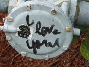 Inanimate declaration - Copyright © Donna James